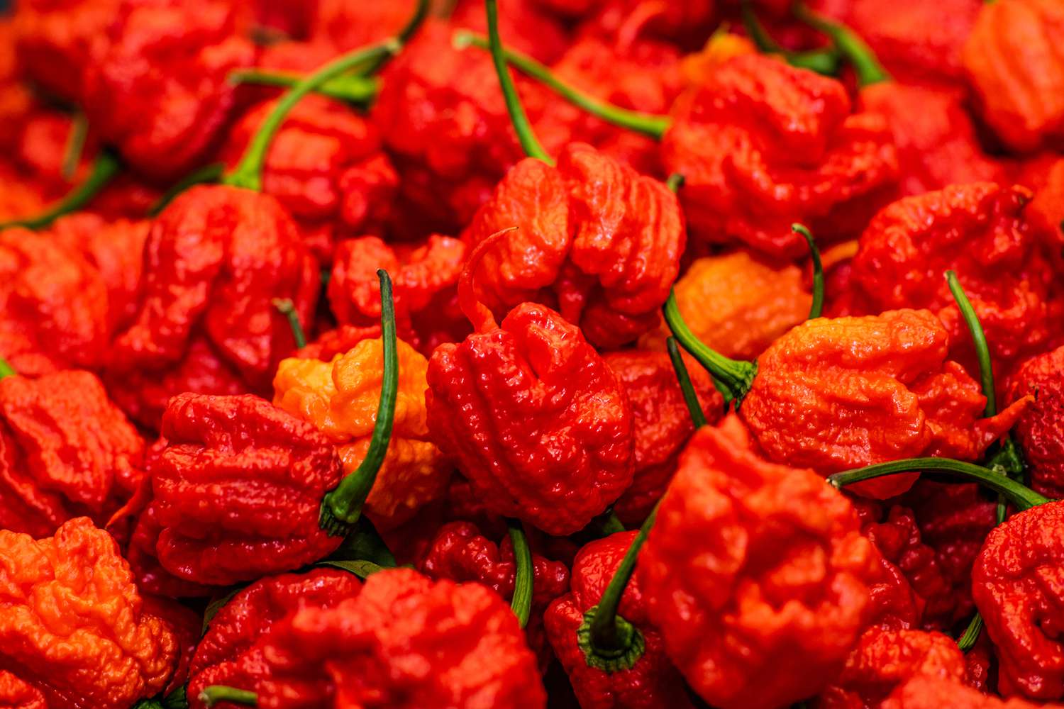 how-to-eat-the-carolina-reaper