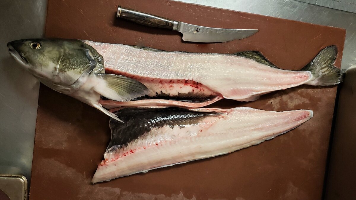 how-to-fillet-black-cod